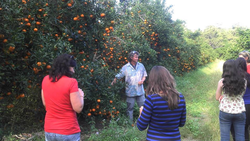 Ken gave us a tour of his Orchard.. No pesticides, the friendly insects, beneficial weeds, compost etc... no wonder his citrus is so good!!